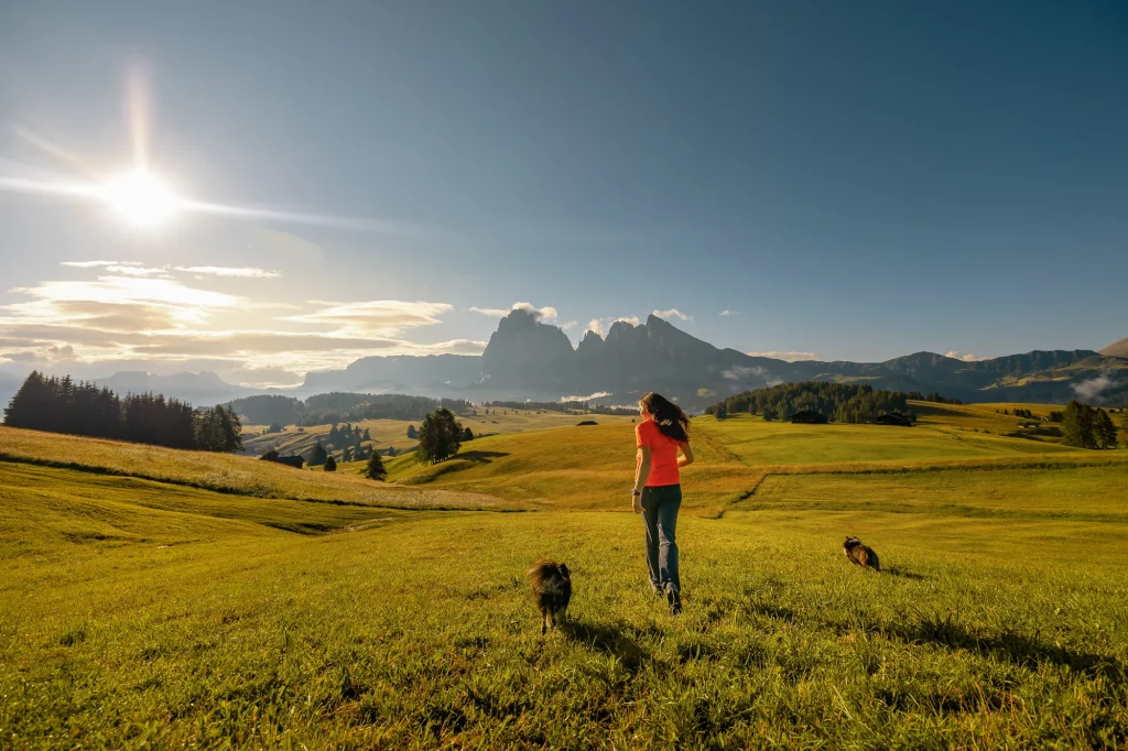 Fotoshooting Dolomiten - Fotowanderung Hundeshooting - Seiser Alm