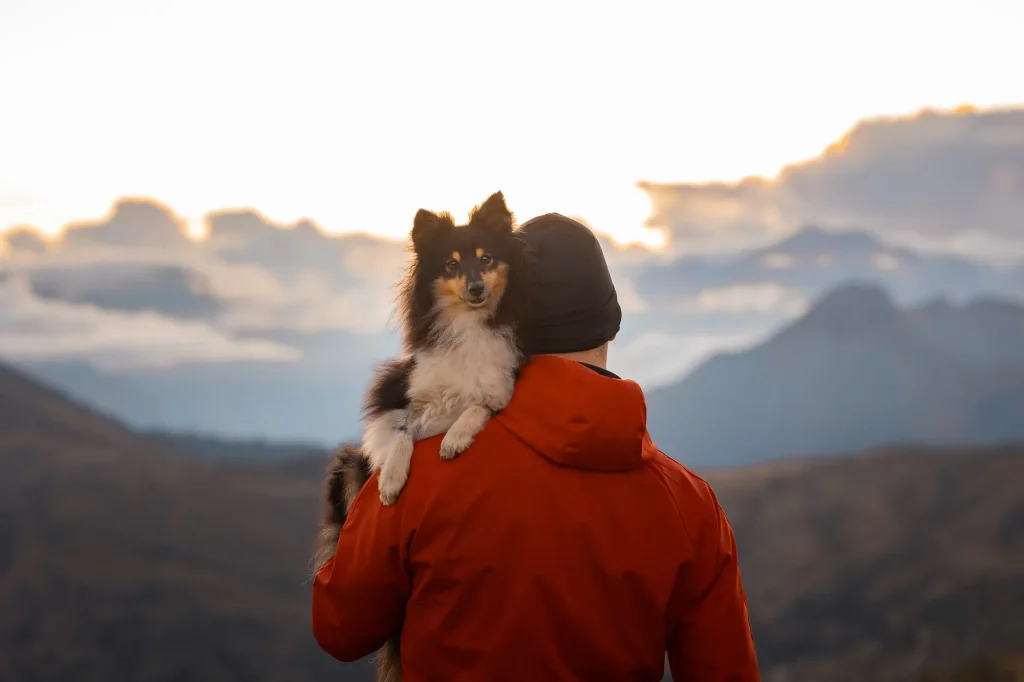 Fotoabenteuerwanderung Hund - Dolomiten Passo Giau