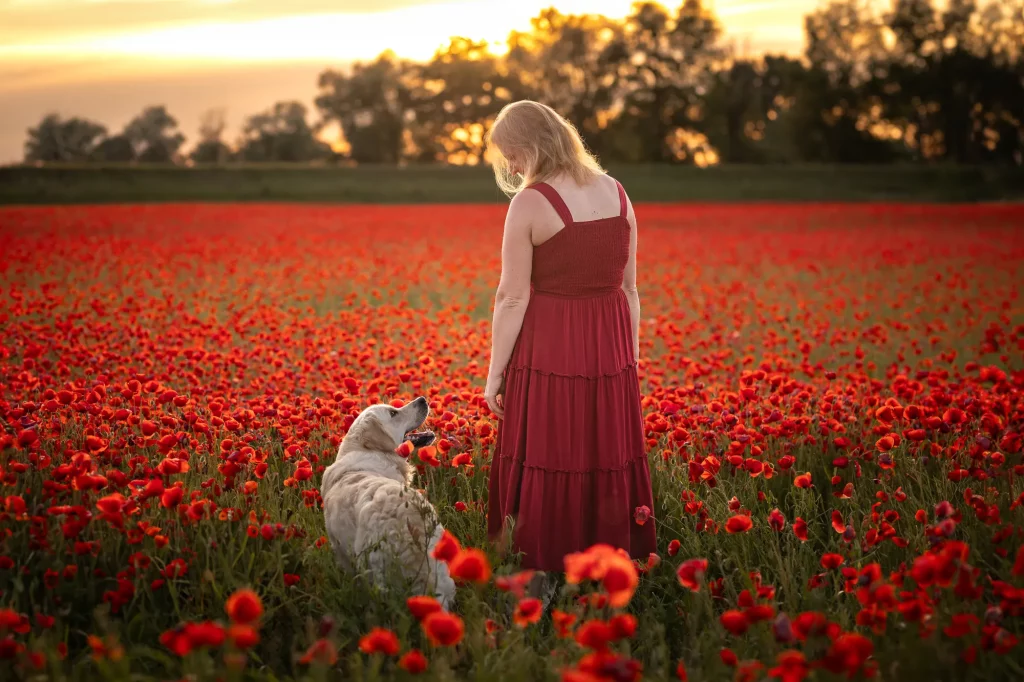 Hundeshooting - Mohnblumenshooting - Mohnshooting Hund