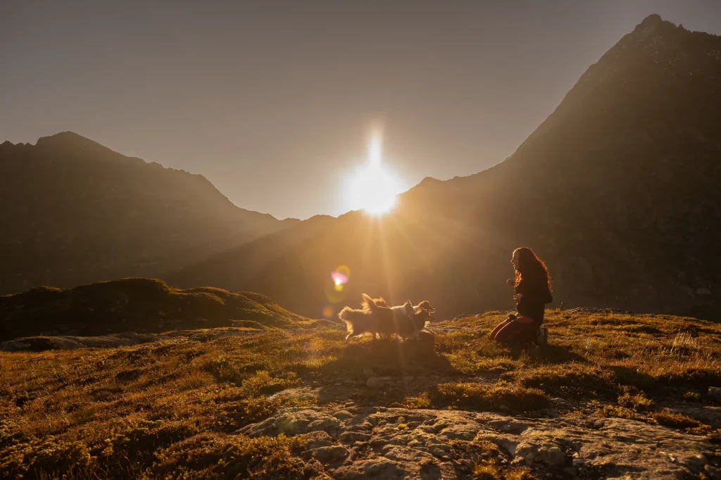 Wandern mit Hund Fotowanderung Schweiz Sustenpass Sonnenaufgang