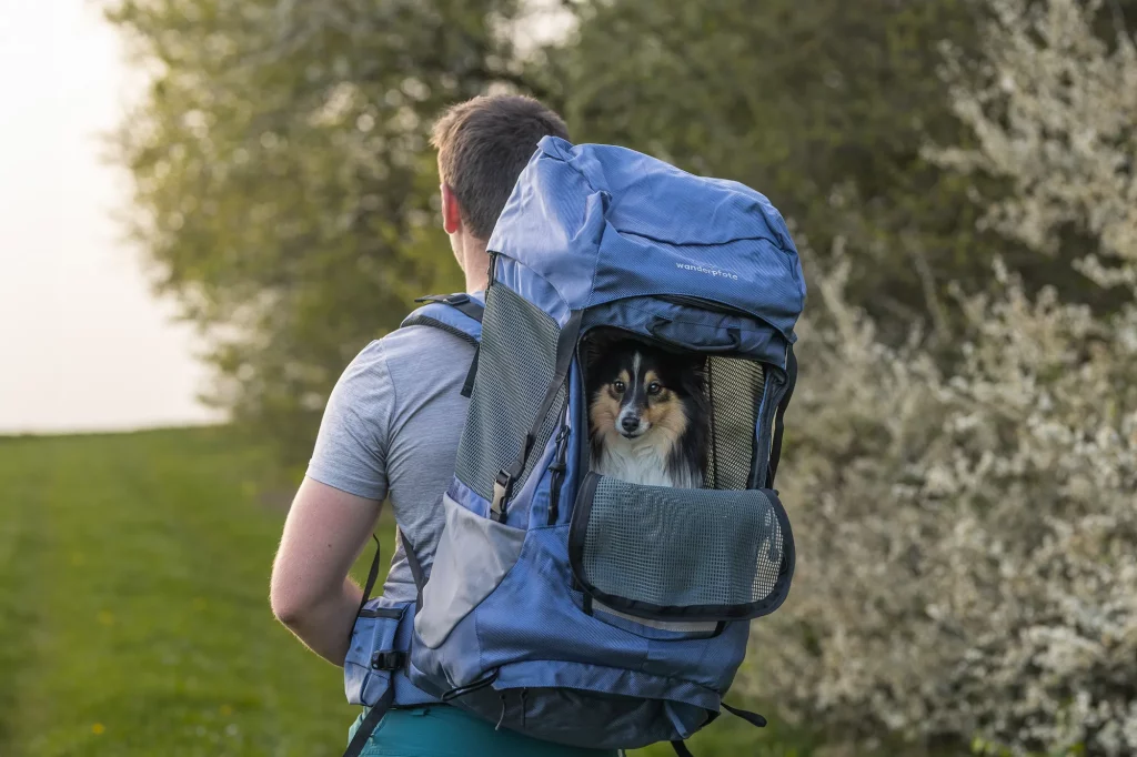 Wandern mit Hund - Wanderpfote - Hundewanderrucksack