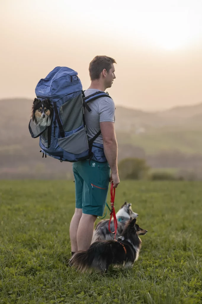 Wandern mit Hund - Wanderpfote - Hundewanderrucksack