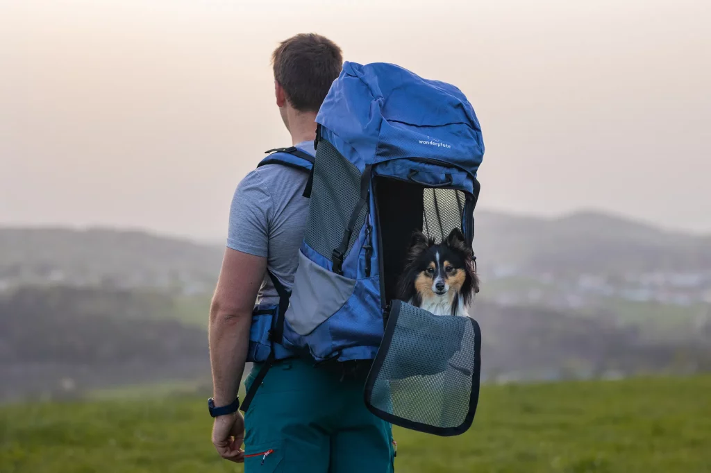 Wandern mit Hund - Wanderpfote - Hundewanderrucksack