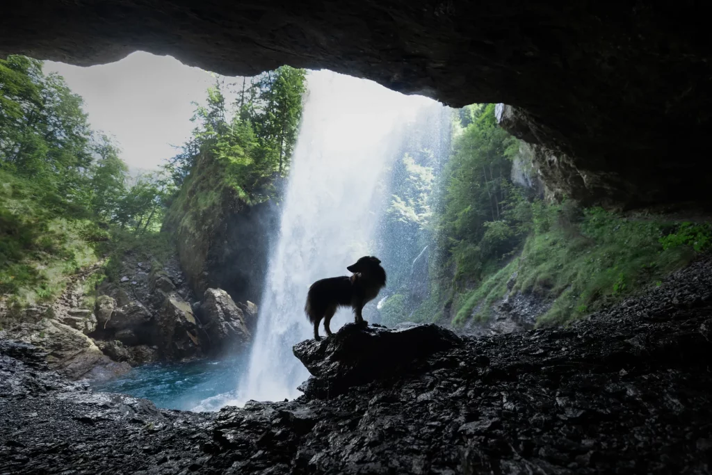 Berglistüberlwasserfall Fotoshooting mit Hund am schönsten Wasserfall in der Schweiz