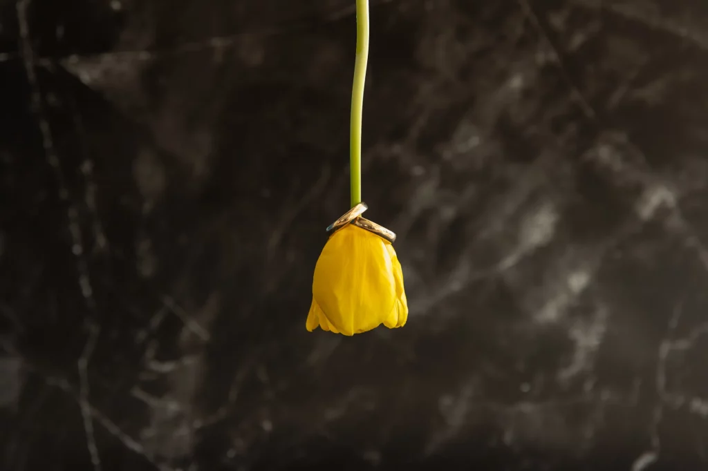 Eheringe künstlerisch fotografieren - Getting Ready