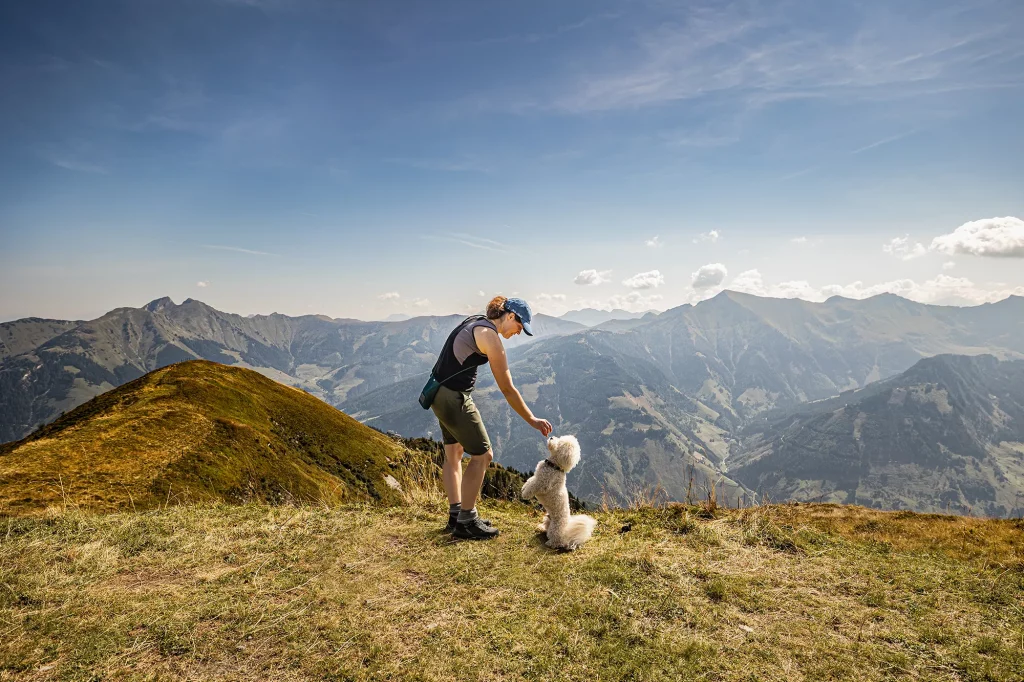 Ferien in den hohen Tauern, Rauristal, Wandern mit Hund, Fotowanderung, Fotografie, Hundehotel Grimming