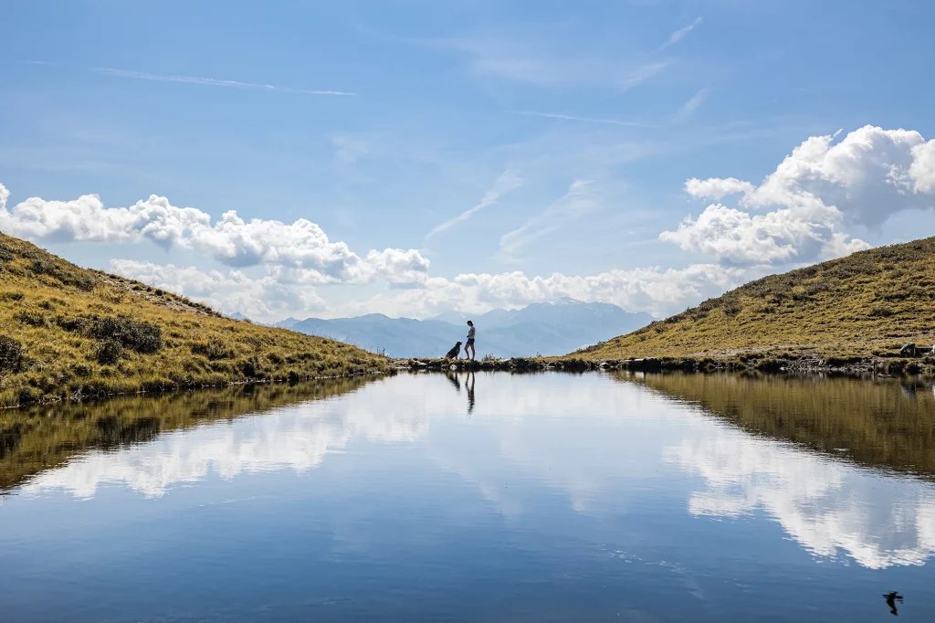 Wenn die Natur die perfekte Kulisse für traumhafte Fotos bietet, Fotoshooting Hundefotografie, wandern mit Hund in den Alpen