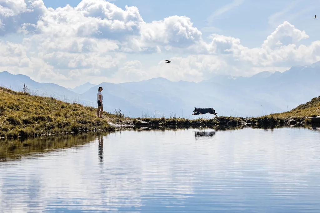 Raurisertal, wunderschöner Spiegelsee, Hohe Tauern, beeindruckendes Foto, professionelle Fotografie, Wandern mit Hund