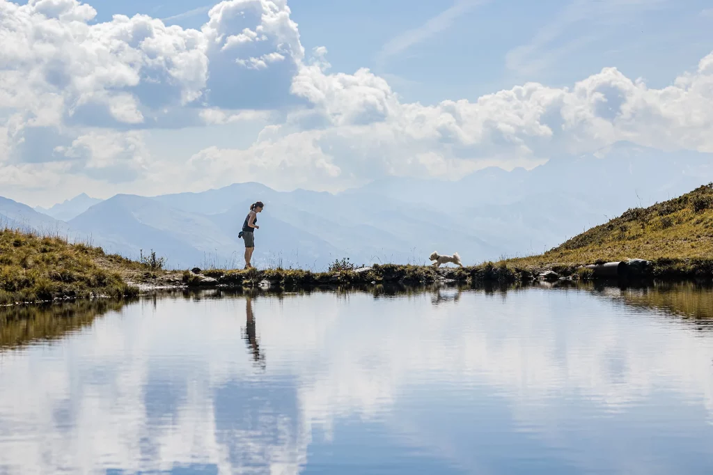 perfekte Kulisse für professionelle Fotos, Hundefotografie