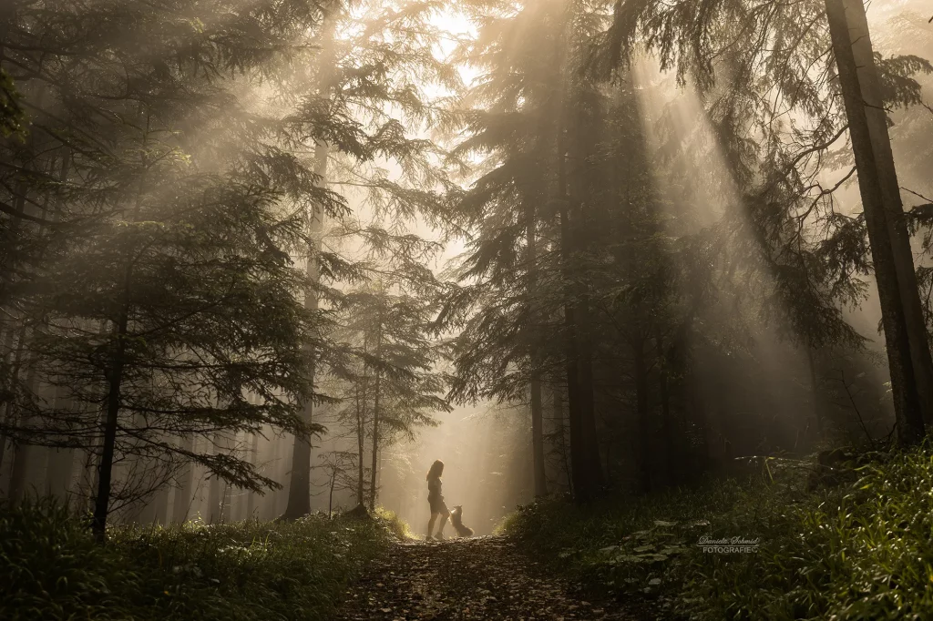 Zauberhaftes Fotoshooting im Märchenwald mit Sonnenstrahlen am Morgen