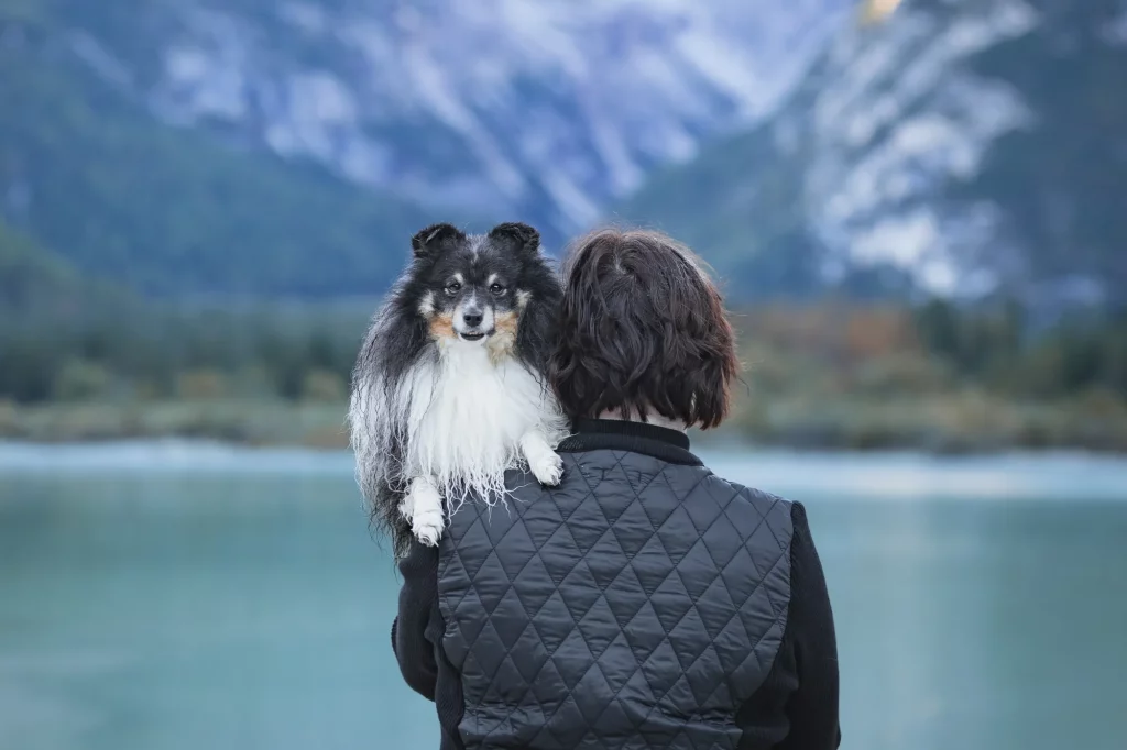 Sonnenaufgangsfotoshooting am Dürrensee, wunderschönes Portraitbild von Mensch und Hund. Im HIntergrund der imposante Monte Cristallo