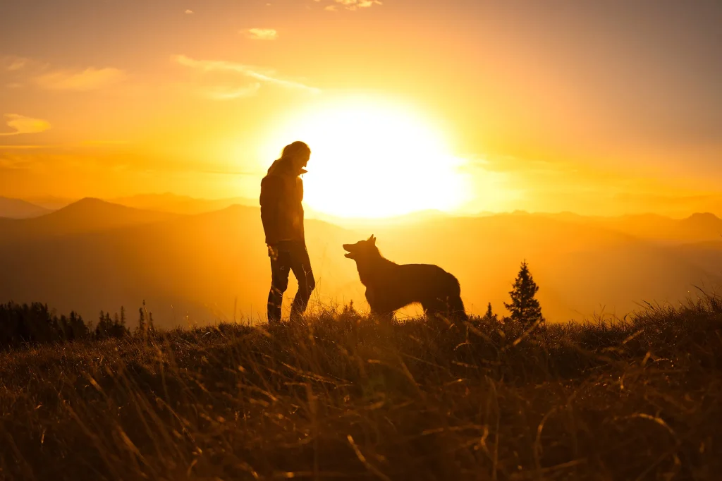 Sonnenaufgangswanderung mit Hund zum Hochkeil mit Fotoshooting, Fotografie in der Natur