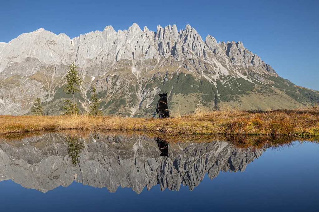 Fotoshooting am Spiegelsee am Hochkeil mit Hund zum Sonnenaufgang