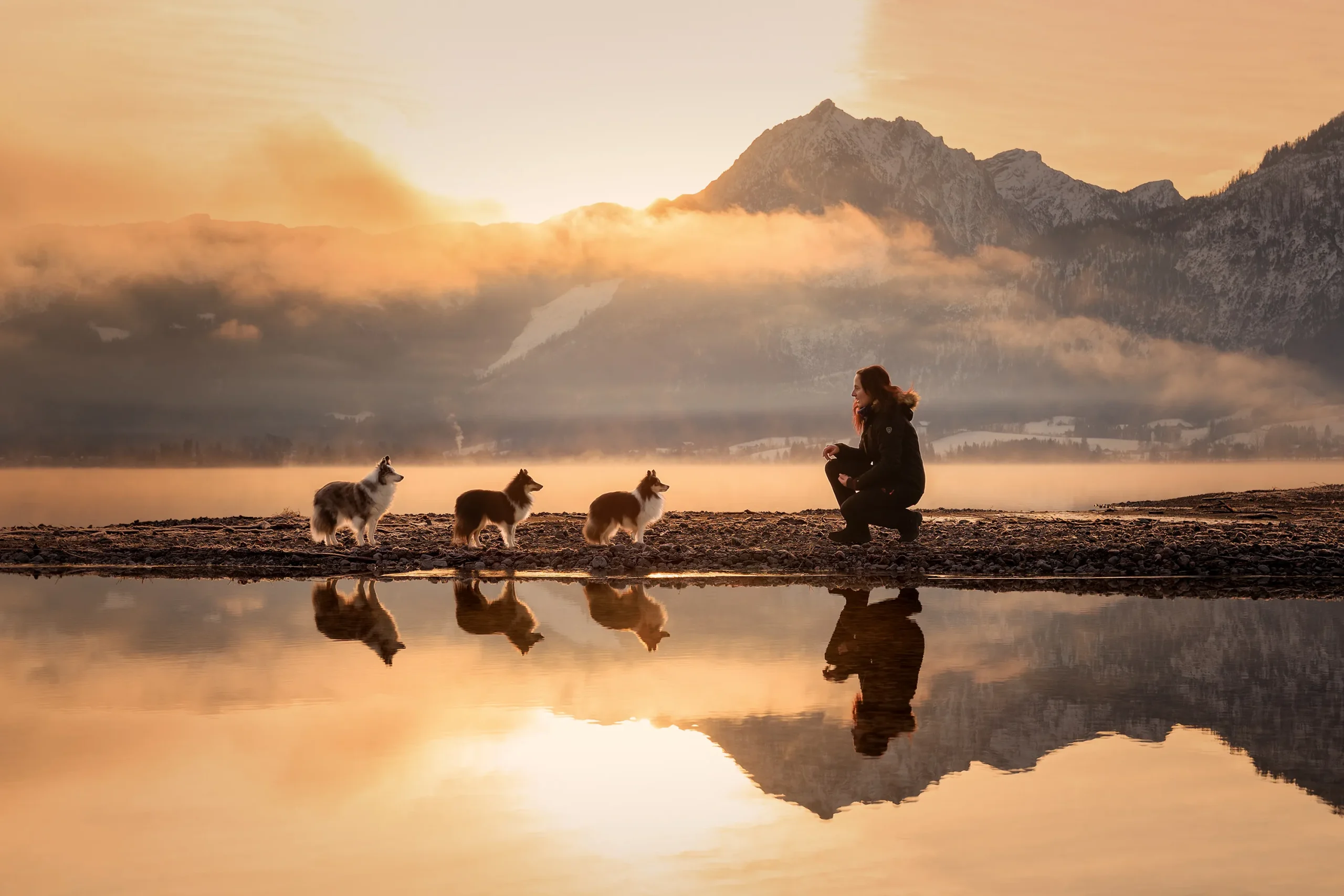 Wunderschönes Foto am Sonnenaufgang mit Hunden am Wolfgangsee