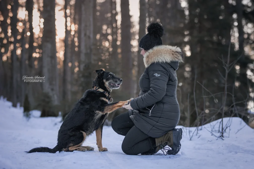 Sehr schönes Bild bei Fotowanderung im Winter von Mensch und Hund zum Dreisessel, bayrischer Wald