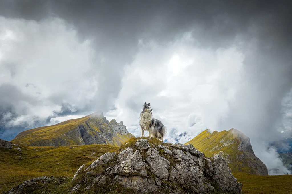 Urlaub in den Bergen. Wanderurlaub in den Dolomiten mit unvergesslichen Bilder bei professionellen Fotoshooting durch Daniela Schmid Fotografie