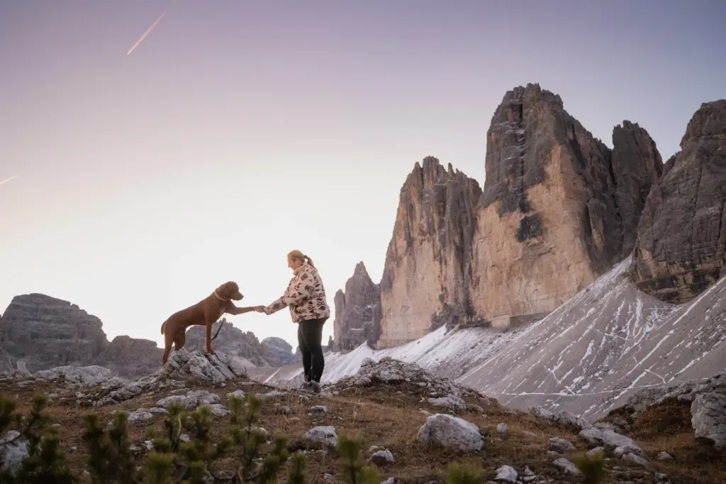 Fotowanderung mit Hund in den Bergen bei den Drei Zinnen