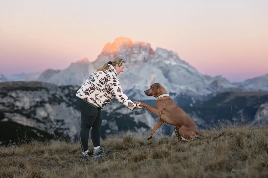 Fotowanderung mit Hund in den Bergen bei den Drei Zinnen