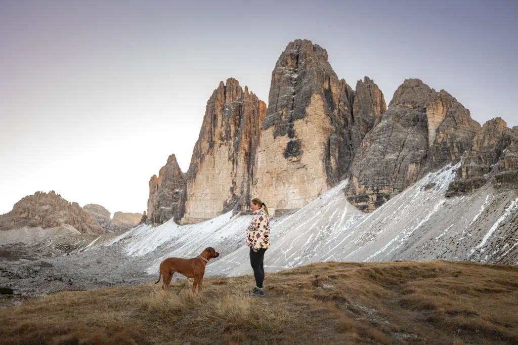 Fotoshooting mit Hund in den Bergen, Fotoshooting mit Hund Drei Zinnen