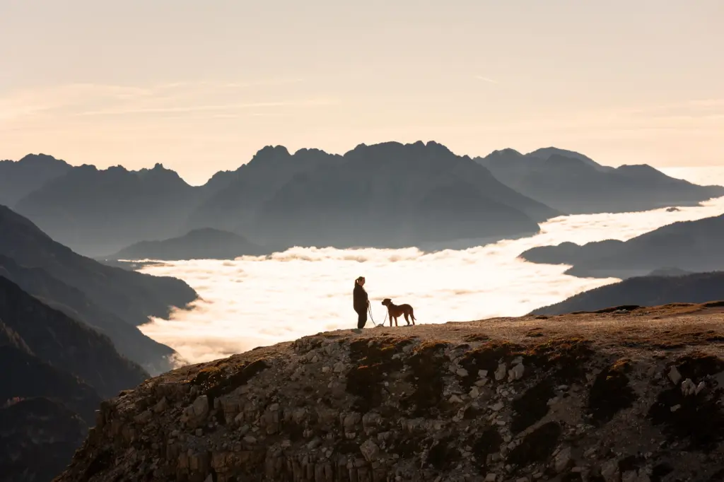 Fotoshooting mit Hund in den Bergen, Fotoshooting mit Hund Drei Zinnen