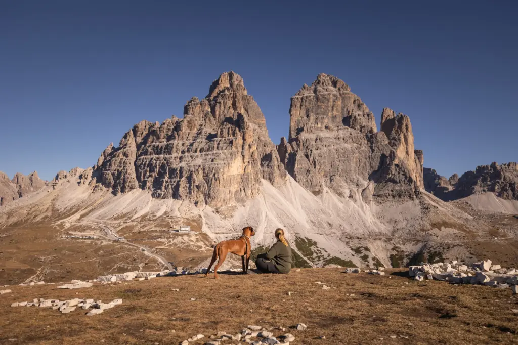 Fotoshooting mit Hund in den Bergen, Fotoshooting mit Hund Drei Zinnen
