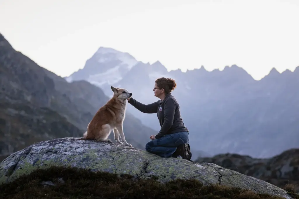 Sehr schönes Bild von Mensch mit Hund bei Fotoshooting am Grimslpass in der Schweiz