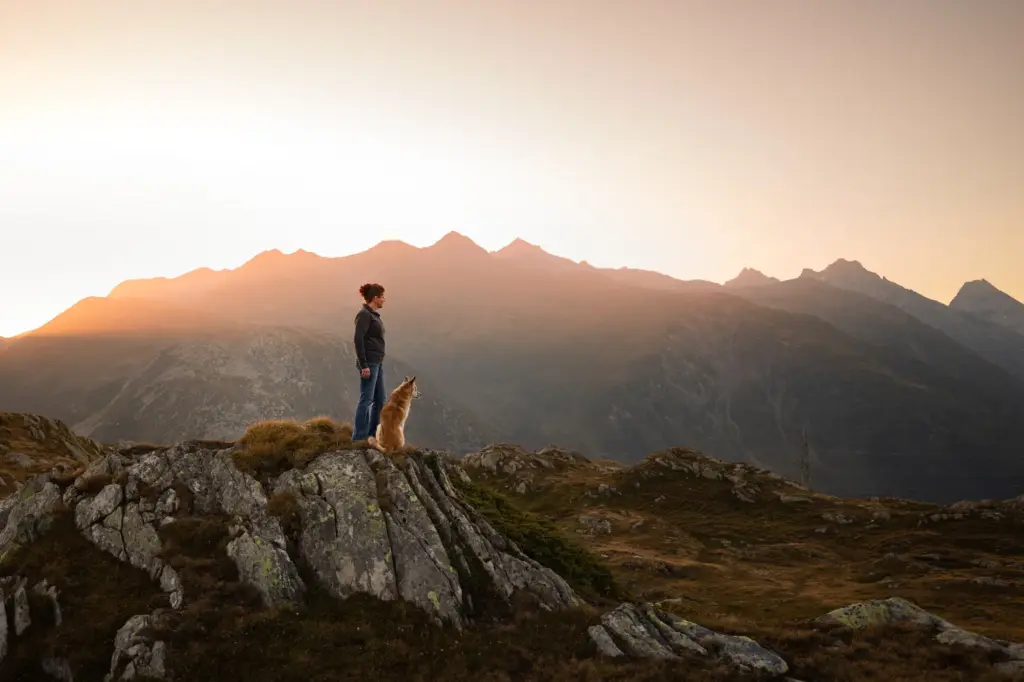 Grimslpass, Fotoshooting von Mensch und Hund zum Sonnenuntergang. Wunderschönes Bild, Daniela Schmid Fotografie
