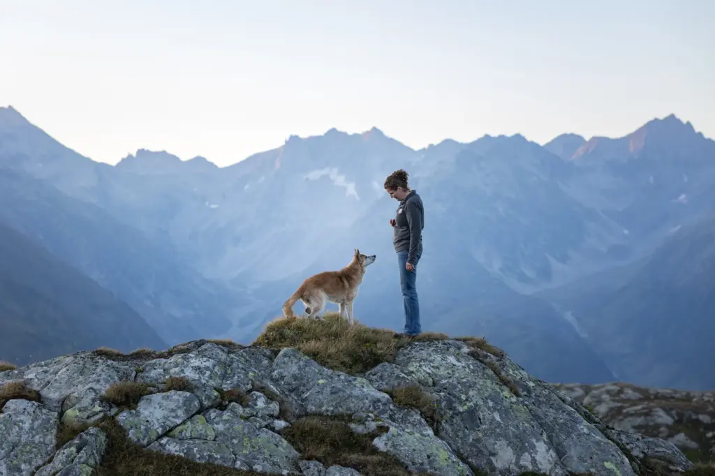 Sehr schönes Bild von Mensch und Hund bei Fotoshooting zum Sonnenuntergang in den Bergen, Grimslpass, Schweiz