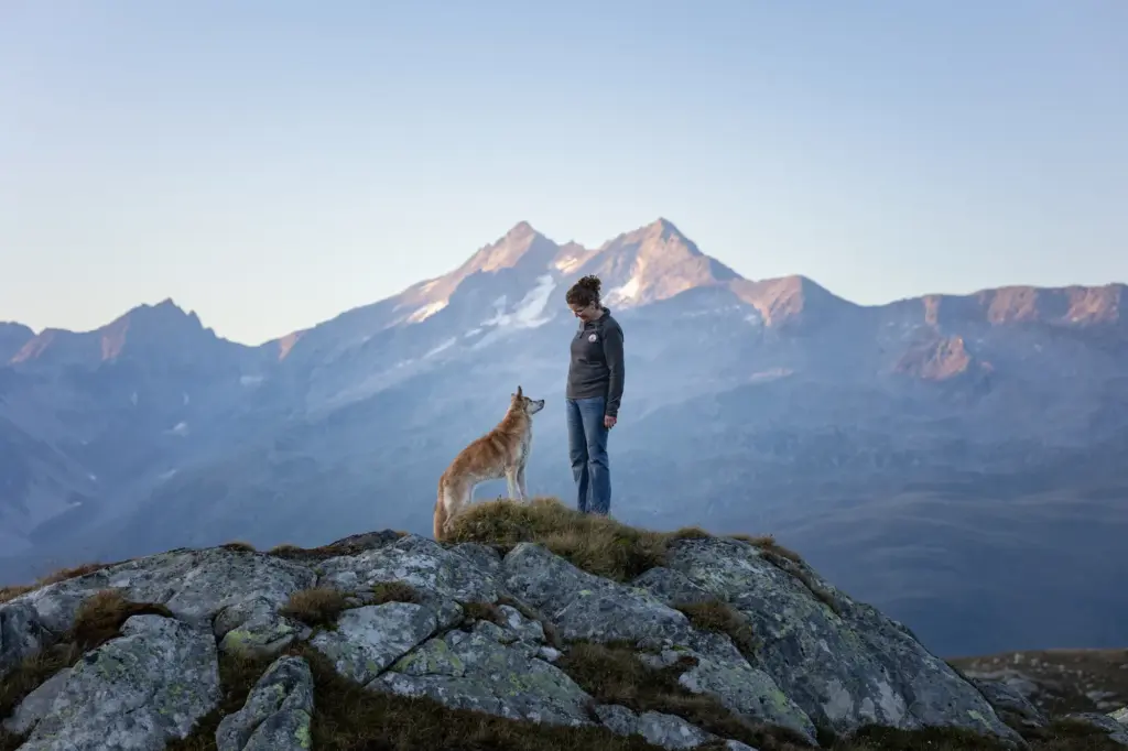 Fotoshooting der Schweiz am Grimslpass zum Sonnenuntergang von Mensch und Hund