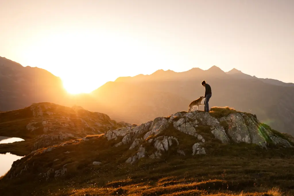 Fotoshooting von Mensch und Hund am Grimselpass zum Sonnenuntergang. Traumhaftes Licht, Daniela Schmid Fotografie