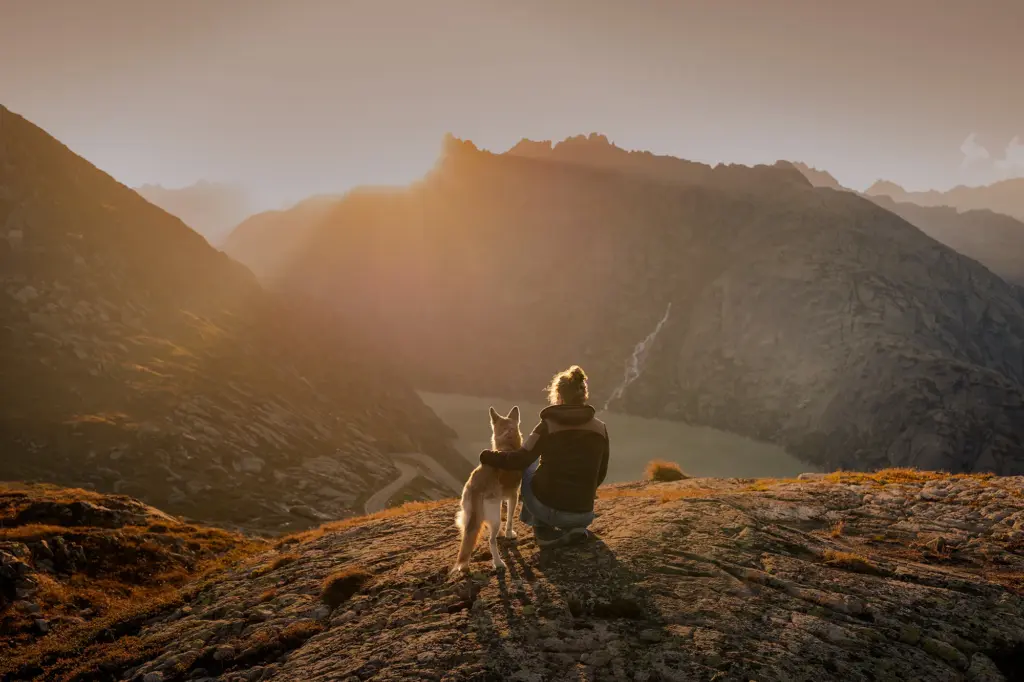 Traumhaftes Bild von Mensch und Hund bei Sonennuntergang Fotoshooting am Grimslpass