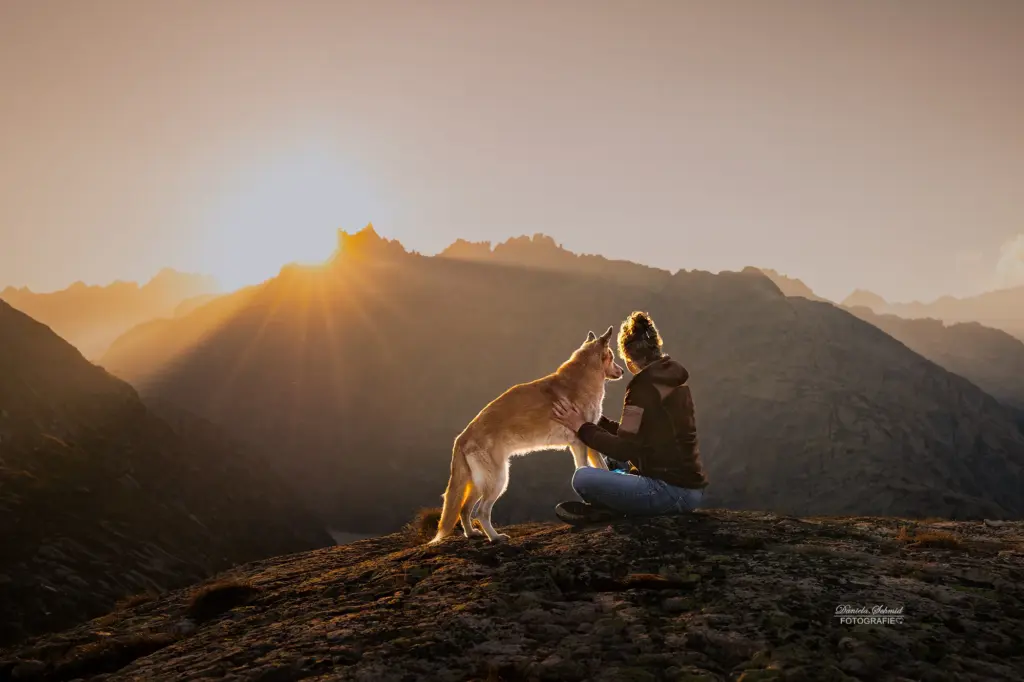 Fotoshooting zum Sonnenuntergang in der Schweiz am Grimslpass von Mensch und Hund