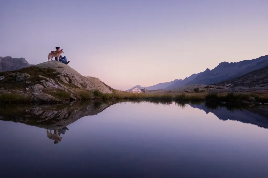 Traumhaftes Bild von Mensch und Hund zusammen sitzend auf einen Stein, im Vordergrund ein See mit Spiegelung. Himmel in prächtigen Farben