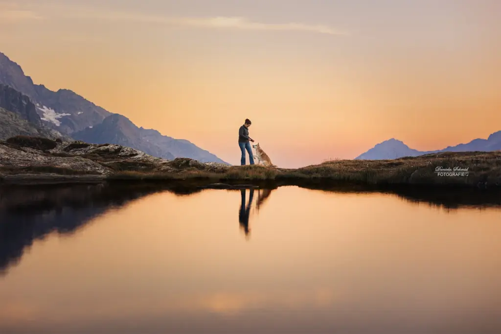 Fotowanderung in der Schweiz. Traumhafte Bilder von Mensch und Hund emotionale Bindung.