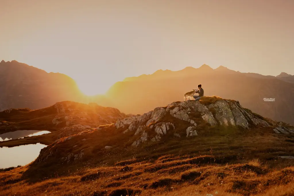 Wunderschönes Bild bei Sonnenaufgangsfotoshooting am Grimselpass mit Mensch und Hund.