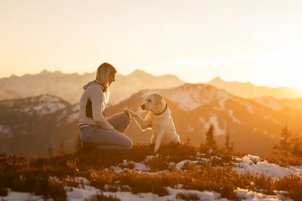 Einzigartiges Bild von Mensch und Hund bei Sonnenuntergang am Hochkeil