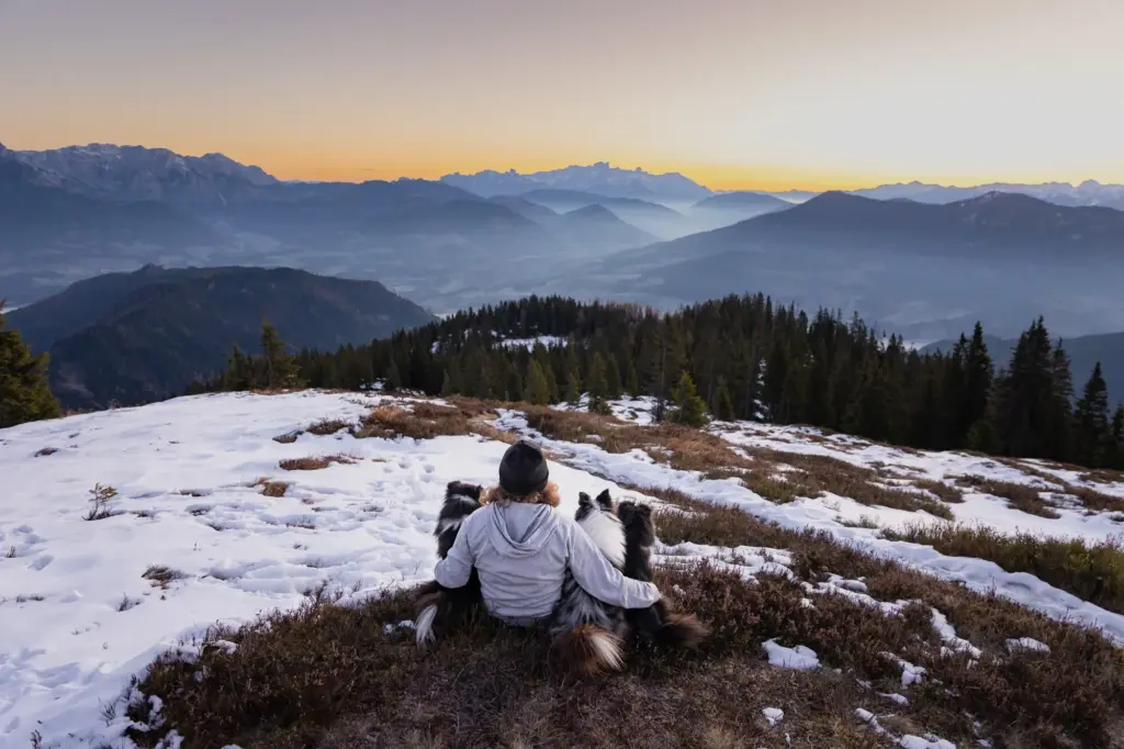 Traumhaftes Bild von Mensch und Hund bei Sonnenaufgangswanderung am Hochkeil