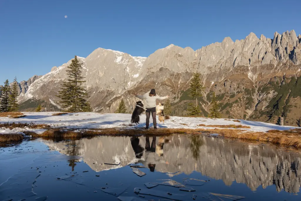 Wundervolles Bild von springenden Hunden mit wundervolle Spiegelung an kleinen See mit Felswänden im Hintergrund.
