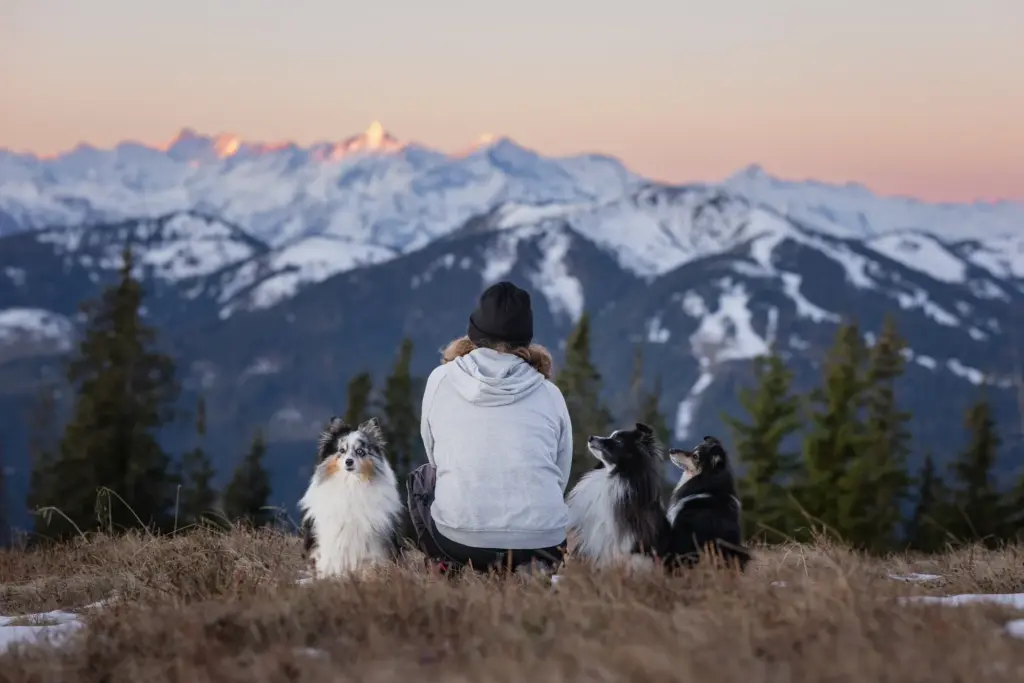 Wunderschönes Bild von Mensch mit Hunden zum Sonnenaufgang am Hochkeil bei Fotowanderung