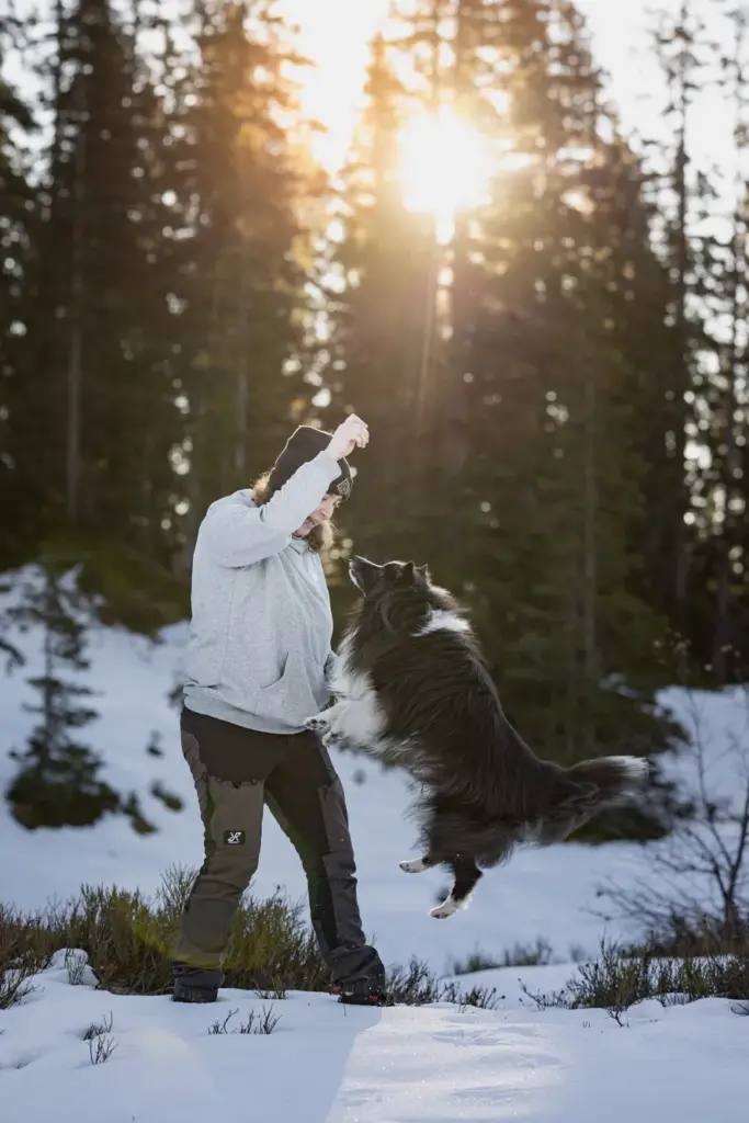 Wunderschönes Bild von springenden Hunde bei Fotowanderung am Hochkeil