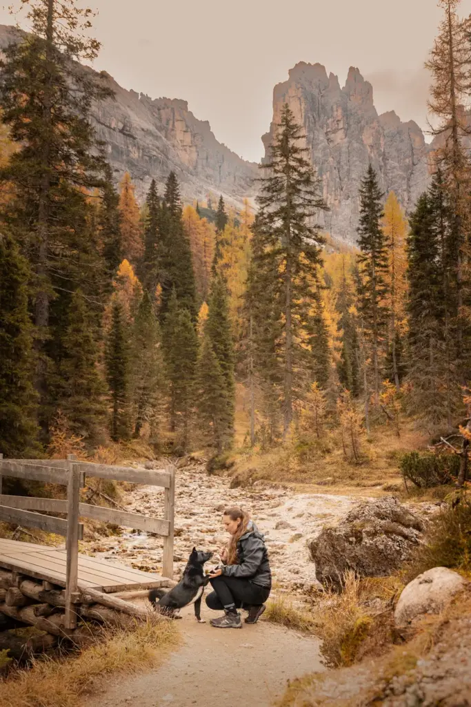 Wunderschönes Bild bei Fotowanderung in den Dolomiten von Mensch mit Hund im Herbst, leuchtende Lärchen, beeindruckende Berge der Dolomiten