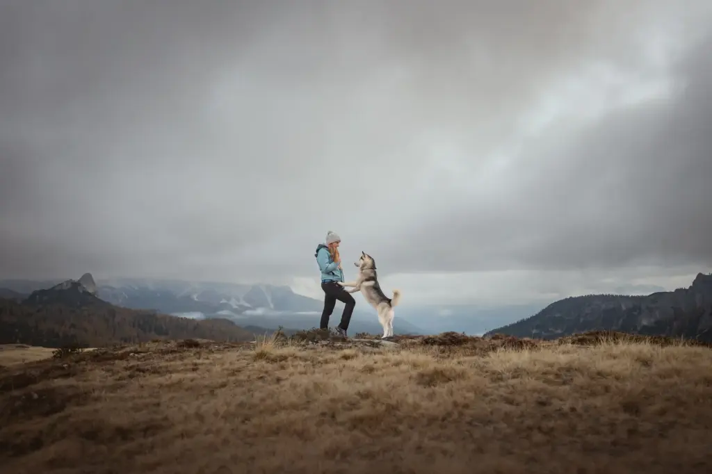 Sehr schönes Bild von Frau mit ihrem Husky bei Fotoshooting am Morgen in den Dolomiten