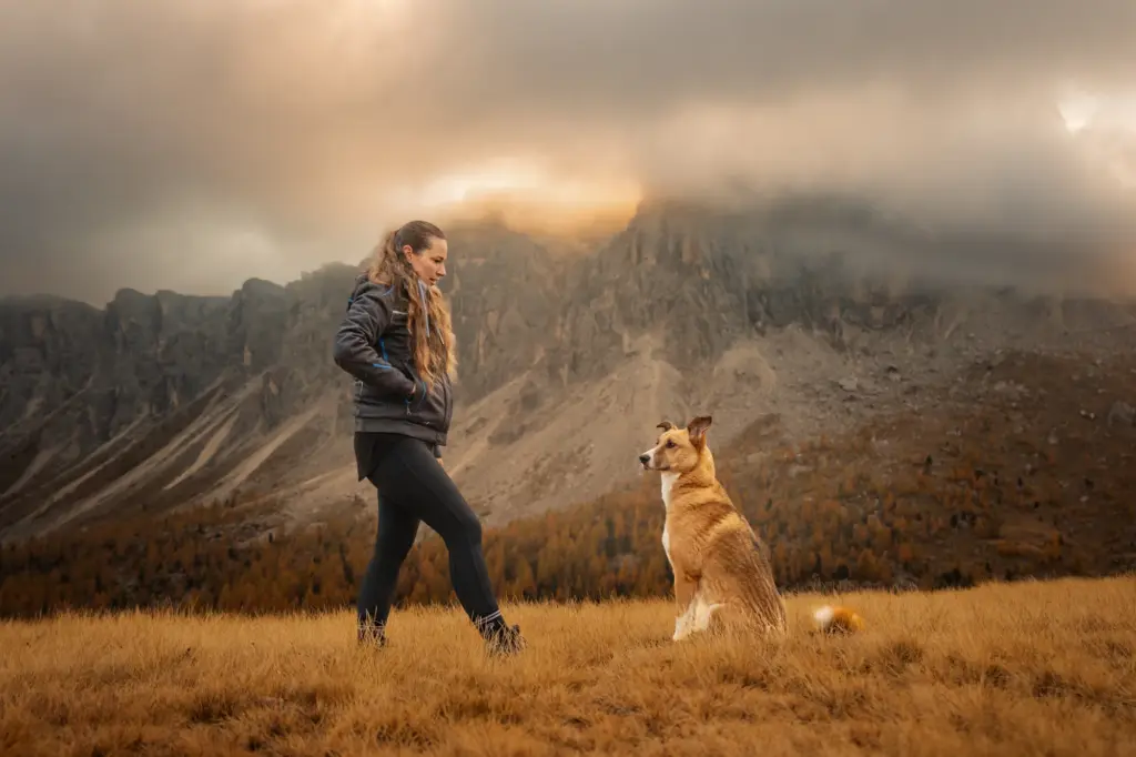 Mensch und Hund stehen in den Berge, im Hintergrund die Berge der Dolomiten, Sonnenaufgang am Passo Giau, warmes Licht bei Fotoshooting